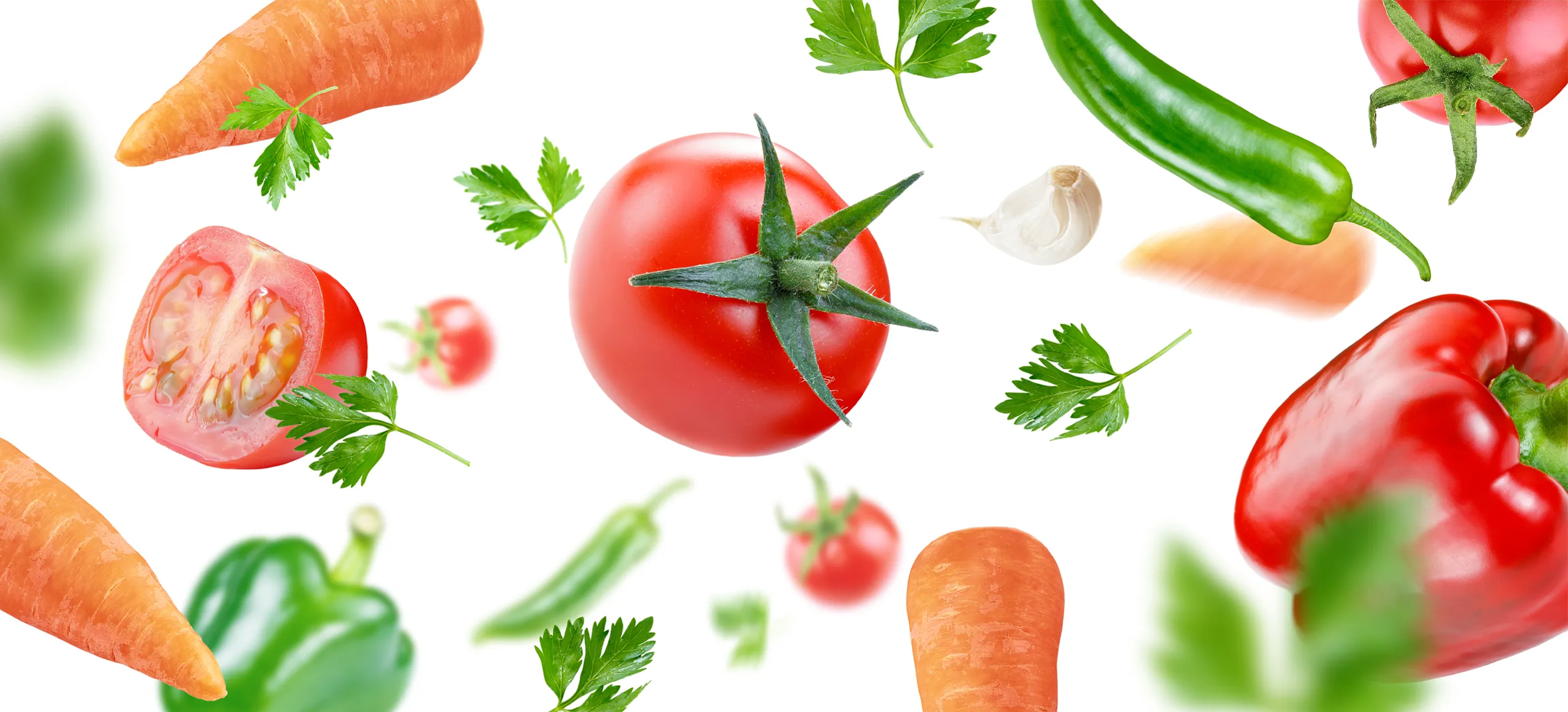 home-fascia-01-ortofrutta-palestini